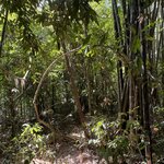 Photo taken by Bailey W