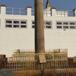 Photo taken by Meenakshi B