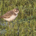 Photo taken by Graham D