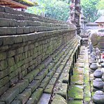 Photo taken by Laurence S