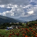 Photo taken by Amanda D