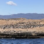 Photo taken by Kaitlin J