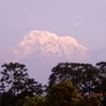 Photo taken by Wayne D