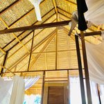 Our jungle lodge | Photo taken by Elisa M