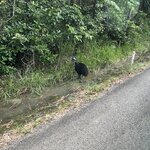 Photo taken by Cindy H