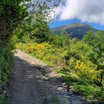 Photo taken by Brenda J