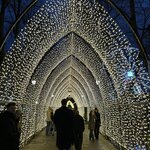 Photo taken by Linda D