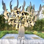 Photo taken by Ronit R