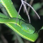 Photo taken by Sheila G