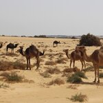 Photo taken by Chris M