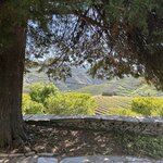 Photo taken by Stanley C