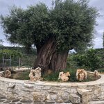 Photo taken by Lori H