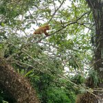 Photo taken by Susan D