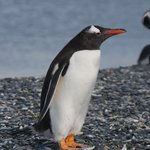 Photo taken by Douglas A