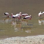 Photo taken by Samir K