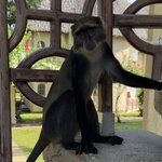 Photo taken by Gabrielle A