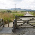 Grid and gate | Photo taken by Clare F