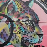 Photo taken by Brett F