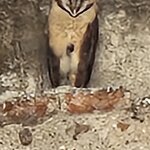 Photo taken by Alexandre M