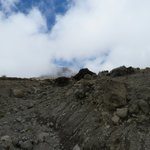 Photo taken by Kristin M