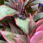 Photo taken by Alexia M