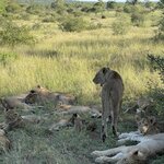 Photo taken by Jeanine B