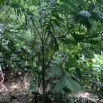 Photo taken by Anna A