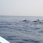 Photo taken by Dixie W