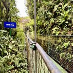 Photo taken by Ben B