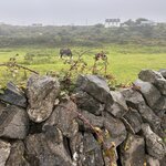 Photo taken by Ellen D