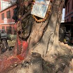 Photo taken by Wendy P