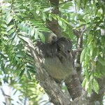 Photo taken by Joyce C