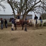 Photo taken by Jenny P