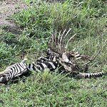 Photo taken by Michael L