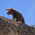 Photo taken by Marcia B