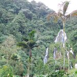 Photo taken by Brett F