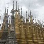 Photo taken by Cynthia C