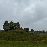 Photo taken by Tina D