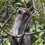 Photo taken by Edit M