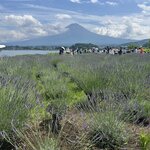 Photo taken by Katherine T