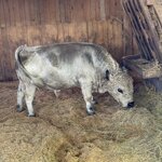 Photo taken by Greg L