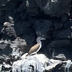 Photo taken by Mary K