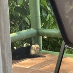 Photo taken by Joyce C