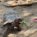 Photo taken by Kristin M