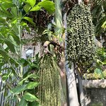 Photo taken by Jill S