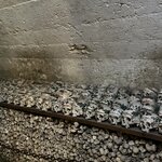 Photo taken by William Q