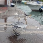 Photo taken by Ben S