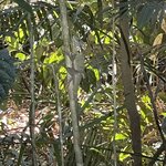 Photo taken by Susan C