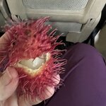 Photo taken by Victoria C