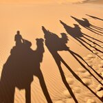 Photo taken by Lesley B